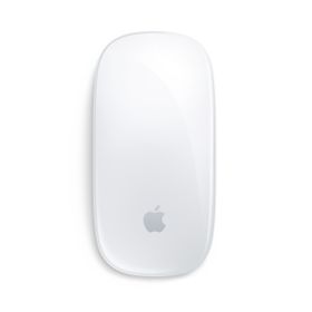 Apple Magic Mouse（USB-C）