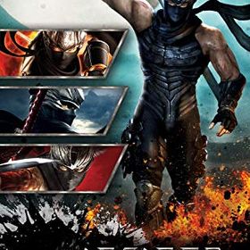NINJA GAIDEN： マスターコレクションのメイン画像