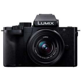 パナソニック Panasonic ミラーレス一眼カメラ LUMIX DC-G100DK 標準ズームレンズキット