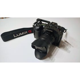 【ショット数8241回】LUMIX G9 レンズキット 14-140mm リグ (ミラーレス一眼)