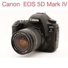 保証/Canon EOS 5D Mark IV+ Canon EF28-80㎜