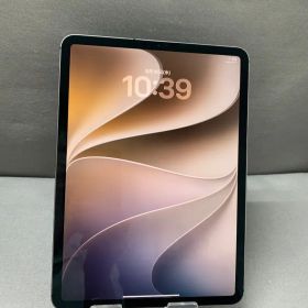 美品 SIMフリー iPad Pro 11インチ 第2世代 128GB セルラー