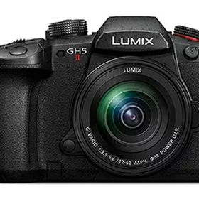 【当店はパナソニック家電製品正規取扱店です】 Panasonic パナソニック DC-GH5M2M LUMIX GH5II 標準ズームレンズキット デジタル一眼カメラ ルミックス