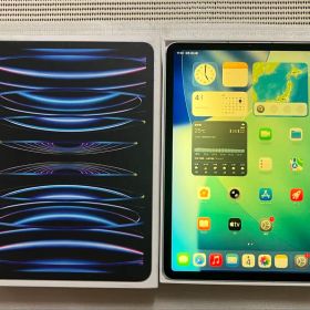 SIMフリー 11インチ iPad Pro（第4世代/2022） 256GB