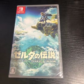 ゼルダの伝説 ティアーズ オブ ザ キングダム