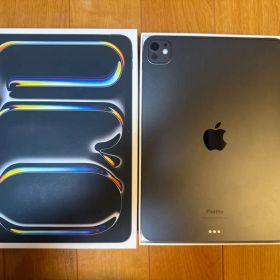 【準美品】Apple iPad Pro 11インチ スペースブラック 256GB