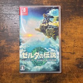 ゼルダの伝説 ティアーズ オブ ザ キングダム