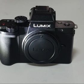 【超美品】シャッター数513回 LUMIX ミラーレス一眼 DC-G100本体