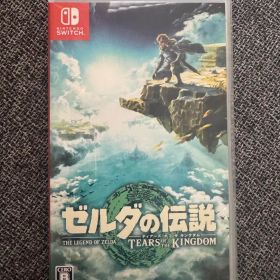 ゼルダの伝説 ティアーズ オブ ザ キングダム Nintendo Switch