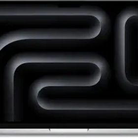 Apple MacBook Pro 14インチ M4(CPU:10C/GPU:10C) 16GB/1TB シルバー MW2X3J/A(14インチ,M4,2024)