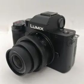 Panasonic LUMIX G100 Vキット DC-G100V-K ブラック