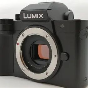 Panasonic LUMIX G100D DC-G100D ボディ ブラック