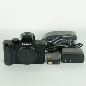 [難あり品 | シャッター数446回] Panasonic LUMIX DC-G100D ボディ | マイクロフォーサーズマウント