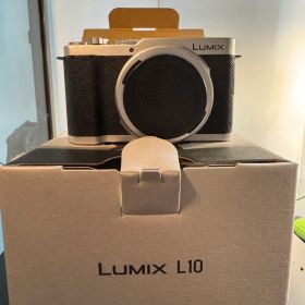 パナソニック Panasonic LUMIX DC-L10 シルバー SLV