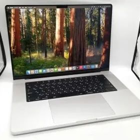 Apple MacBook Pro 16インチ CTO (16インチ,M4,2024) M4 Pro(CPU:14C/GPU:20C)/48G/512G シルバー