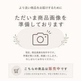 ROLANPRO レンズカバー ニコン Z 180-600mm F/5.6-6.3 VR コート ガンケース ウェア#9