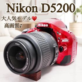✨お洒落カラー✨Nikon D5200 一眼レフ 高画質 小型&軽量