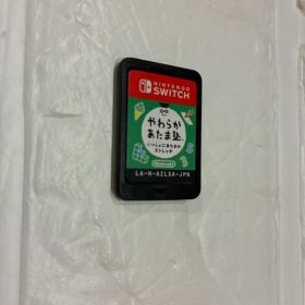 やわらかあたま塾 いっしょにあたまのストレッチ ソフトのみ