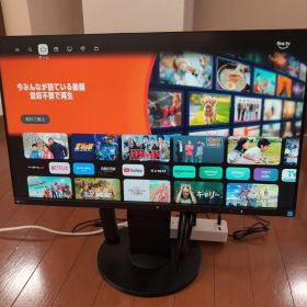 ④【美品】EIZO Flex scan EV2450