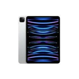 iPad Pro 11インチ 第4世代 Wi-Fi 2TB 2022年秋モデル MNXN3J/A [シルバー]