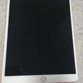 Apple iPad Pro 10.5インチ 本体