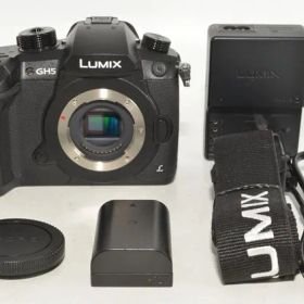 【極上品】 パナソニック Panasonic ルミックス GH5 ボディ ブラック DC-GH5-K ＃9546