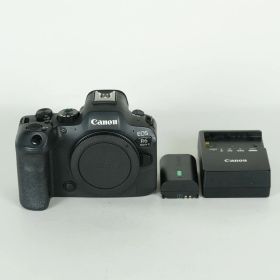 [良品 | シャッター数185,087回] Canon EOS R6 Mark II [ボディ] | Canon RFマウント