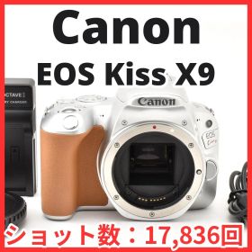 J16[8783]20 キヤノン Canon EOS Kiss X9 ボディ 【ショット数 17,836回】