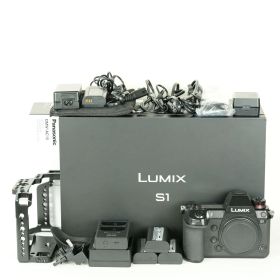 [美品 | シャッター数4,021回｜有料アップグレード済] Panasonic LUMIX DC-S1 | LEICA Lマウント