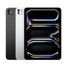 iPad Pro 11インチ（M5) Wi-Fi + Cellular 256GB 端末のみ ランクA