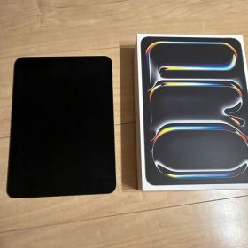 （最終値下げ）Apple iPad Pro M5 11インチ ジャンク品