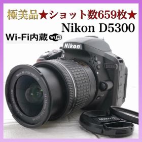 極美品★ショット数659枚★Wi-Fi機能★Nikon D5300 レンズセット