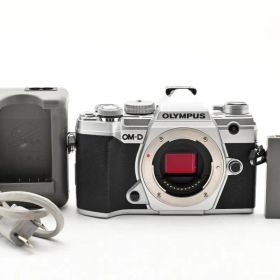 ★良品★ 《シャッター数 16047回》OLYMPUS オリンパス OM-D E-M5 MARK III ボディ ミラーレス一眼 #K1181