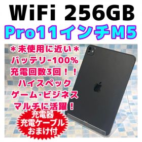 美品 WiFi iPad Pro 11インチ M5 本体 256GB 312