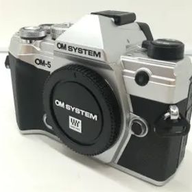 【中古】OM SYSTEM OM SYSTEM OM-5 12-45mm F4.0 PRO レンズキット シルバー【札幌】保証期間１ヶ月【ランクA】
