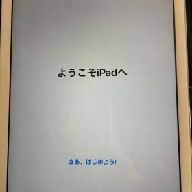 iPad Air 第1世代 16GB Wi-Fiモデル 本体のみ 初期化済み