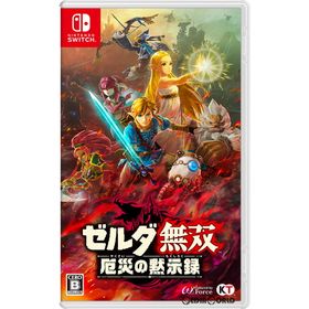 【中古即納】[Switch] ゼルダ無双 厄災の黙示録 コーエーテクモゲームス (20201120)
