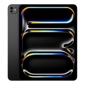 iPad Pro 11インチ M5[256GB] SoftBank スペースブラック【安 …