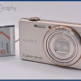 ソニー SONY Cyber-shot DSC-WX200 10X バッテリー付属 同梱無料 #ak304