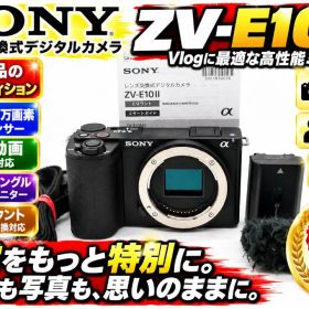 【美品】 SONY ZV-E10 II ZV-E10M2 ボディのみ ブラック