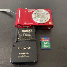 Panasonic LUMIX DMC-ZX1 本体