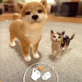 LITTLE FRIENDS -DOGS & CATS-
