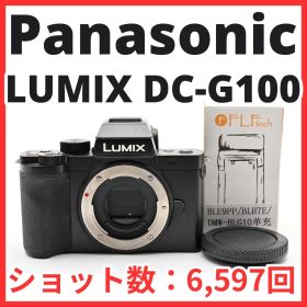 J22[8829]16★極美品★ パナソニック Panasonic LUMIX DC-G100 ボディ 【ショット数 6,597回】