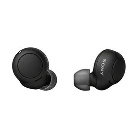 ソニー(SONY) 完全ワイヤレスイヤホン WF-C500 : /軽量小型5.4g/高精度通話品質/簡単ペアリング/IPX4防滴性能/ブラック WF-C500 BZ