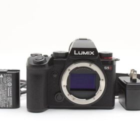 ★極上美品★Panasonic パナソニック LUMIX DC-S5M2 ボディ★ YME2185＃13