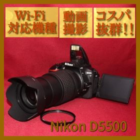 ✨手振れ補正内蔵の近遠対応レンズセット✨超高性能✨Nikon D5500✨