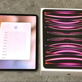iPad Pro 11インチ 第4世代 M2 256GB Wi-Fi 付属品完備