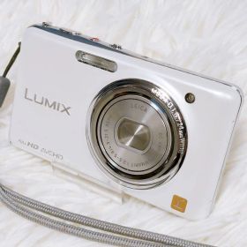 Panasonic LUMIX DMC-FX77 充電器 SDカード付 0980