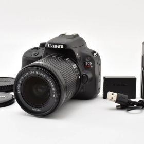 ★美品★ ★ショット数8873回★ キヤノン Canon EOS kiss X7 + EF-S 18-55mm F3.5-5.6 IS STM 充電器付き ARYM7158 #195