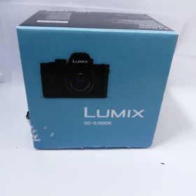 Panasonic LUMIX DC-G100D 12-32mm 動作確認済 デジタル一眼カメラ デジイチ デジカメ